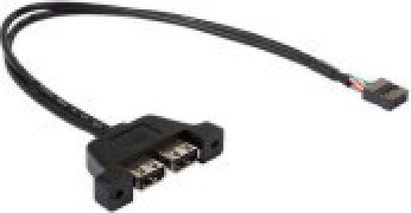 Deskmini 2x USB 2.0 Cable