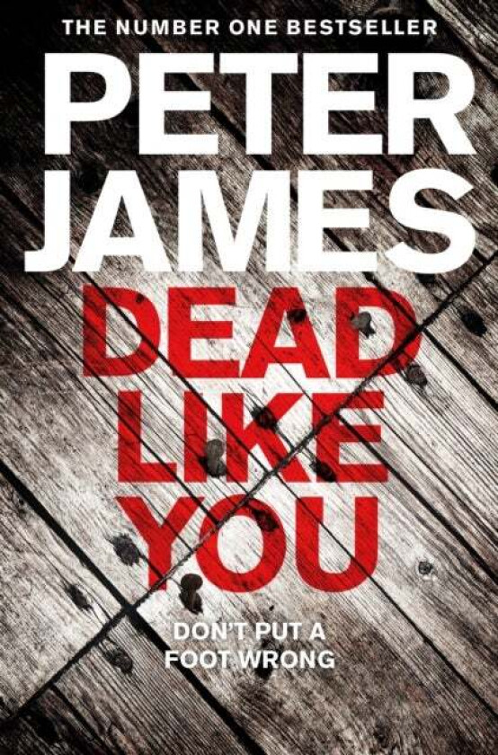 Dead Like You av Peter James