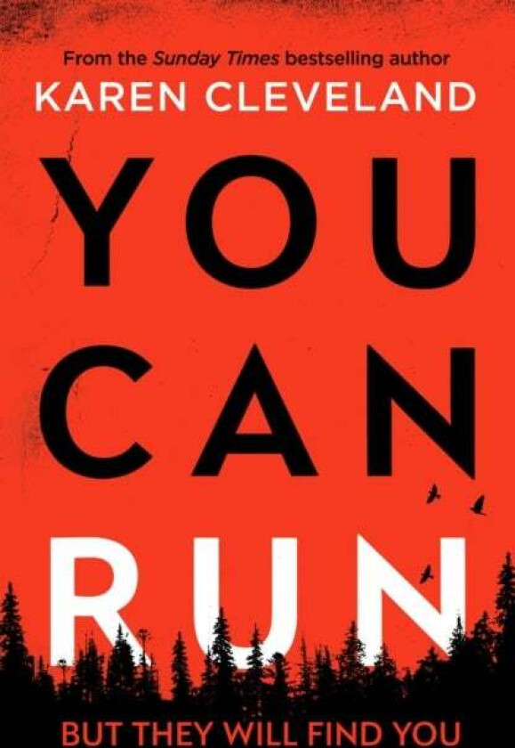 You Can Run av Karen Cleveland