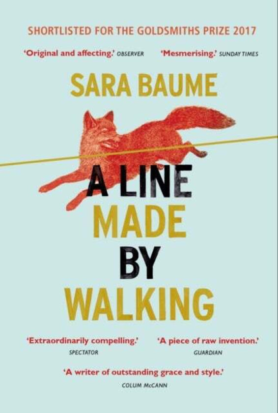 A Line Made By Walking av Sara Baume
