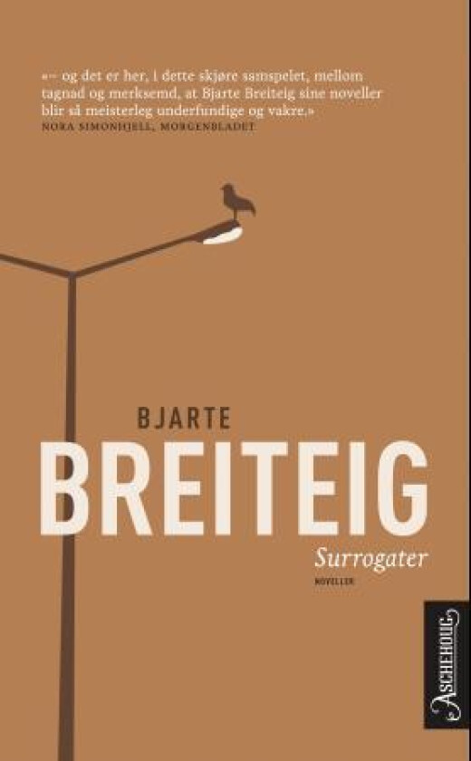 Surrogater av Bjarte Breiteig