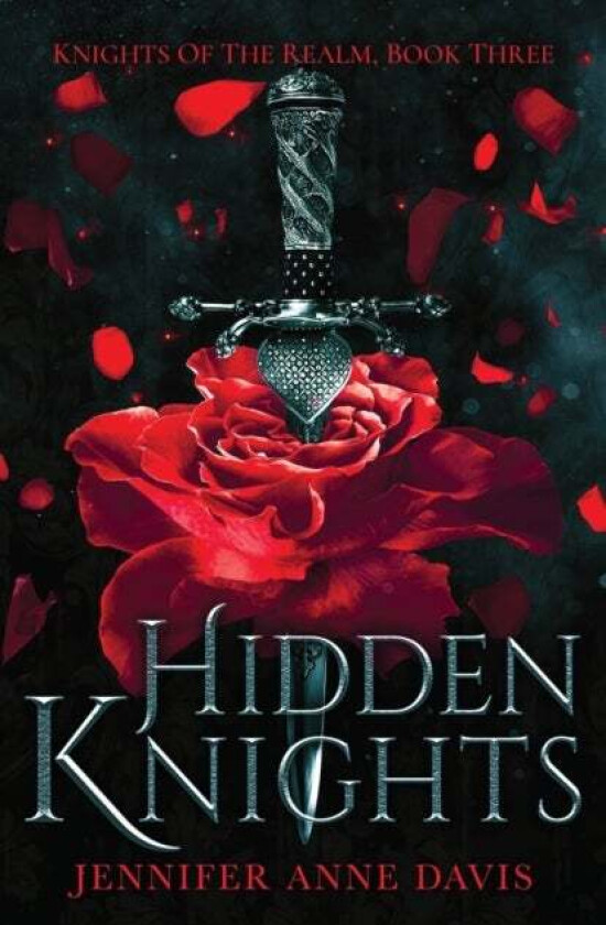 Hidden Knights av Jennifer Anne Davis