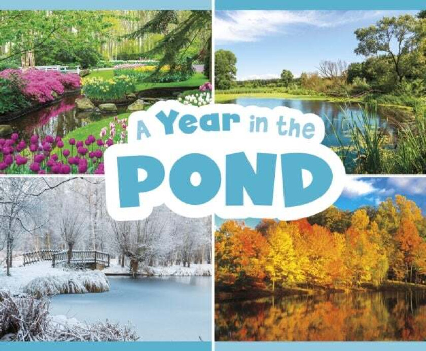 A Year in the Pond av Christina Mia Gardeski