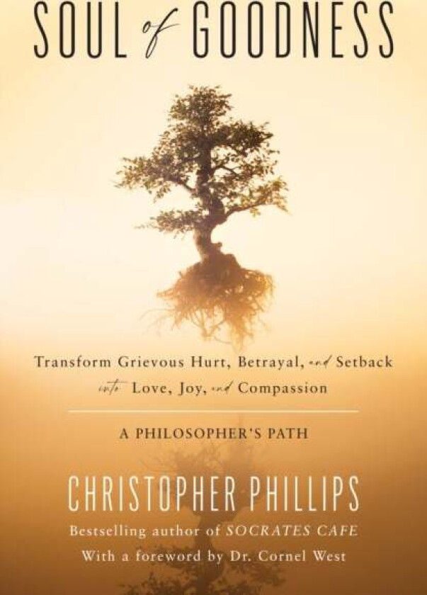 Soul of Goodness av Christopher Ph.D Phillips