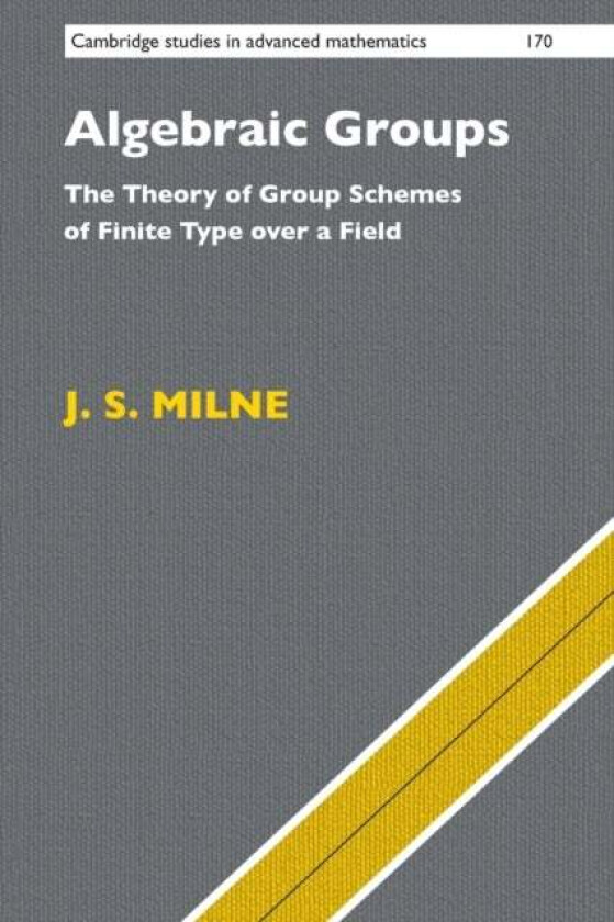 Algebraic Groups av J. S. (University of Michigan Ann Arbor) Milne