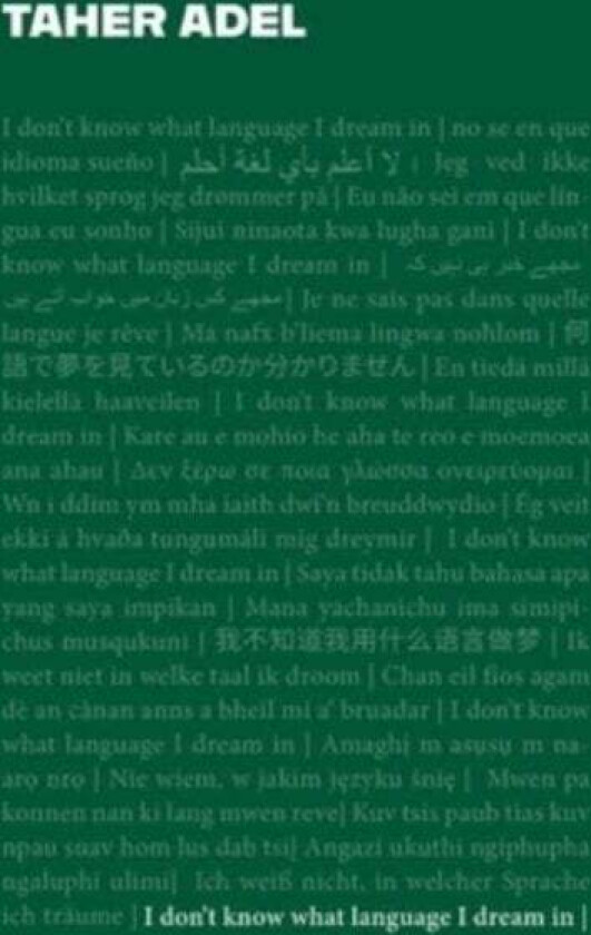 I don't know what language I dream in av Taher Adel