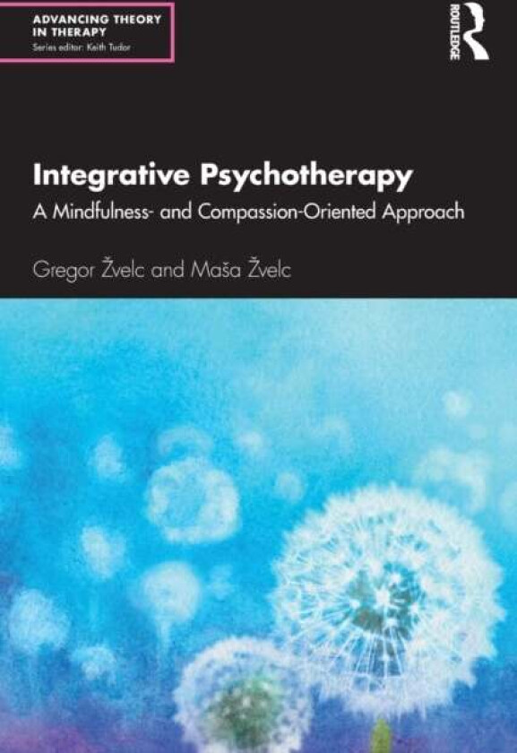 Integrative Psychotherapy av Gregor Zvelc, Masa Zvelc