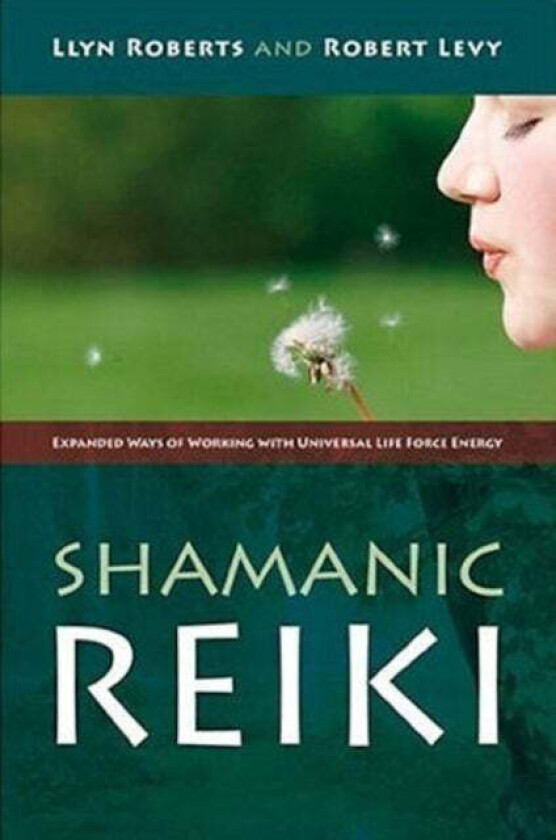 Shamanic Reiki - Expanded Ways of Working with Universal Life Force Energy av Llyn Roberts, Robert Levy