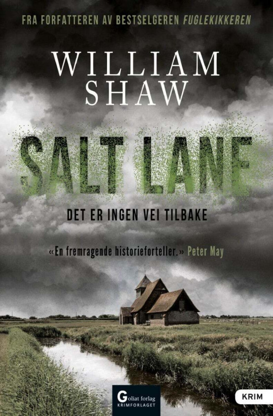 Salt Lane av William Shaw