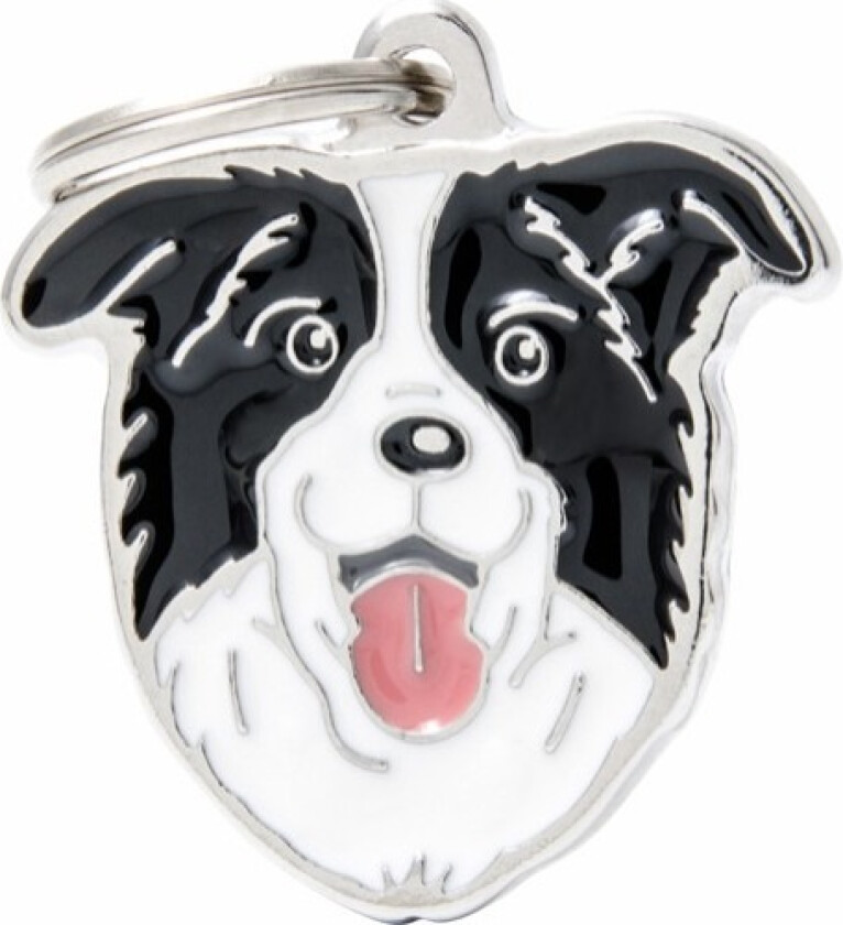 Border Collie ID Tag
