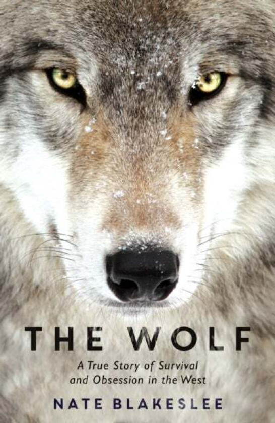 The Wolf av Nate Blakeslee