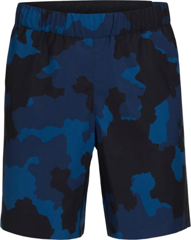 Fremont Print Shorts Men