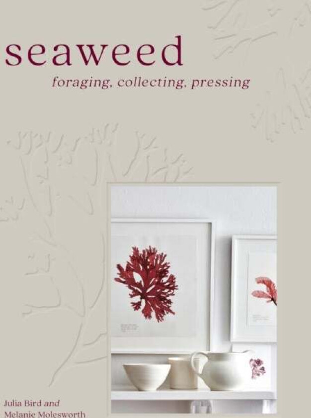 Seaweed av Melanie Molesworth, Julia Bird