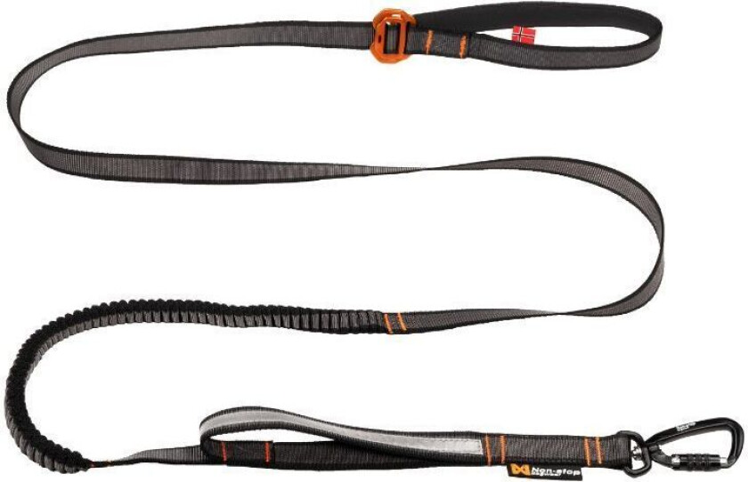 Touring Bungee Justerbart Hundebånd