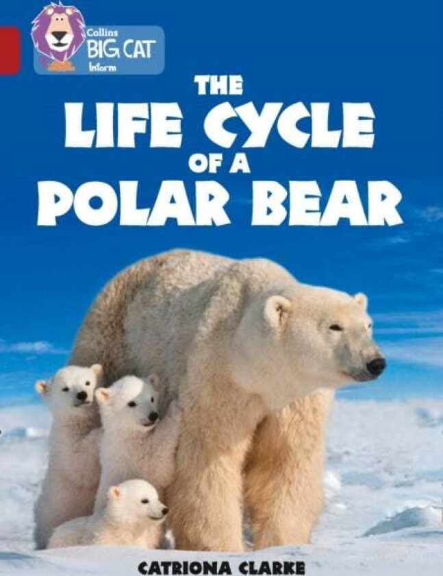 The Life Cycle of a Polar Bear av Catriona Clarke