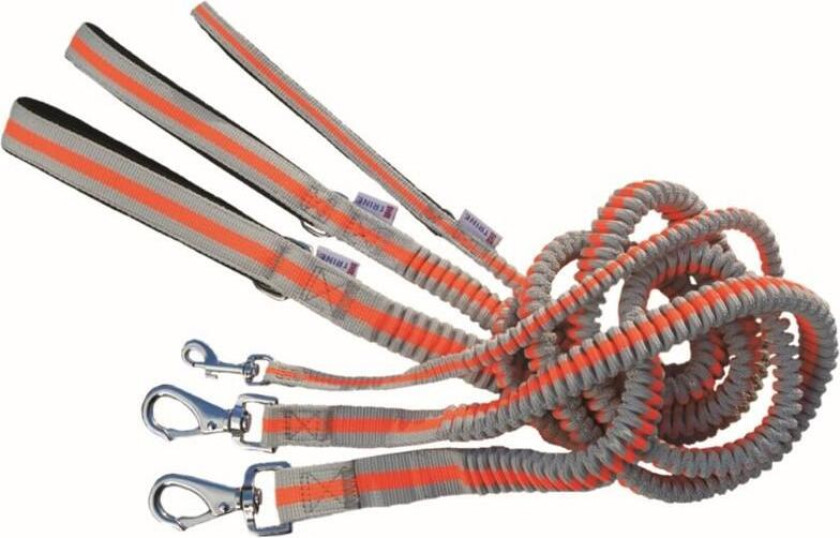 Elastisk Hundebånd Oransje XS