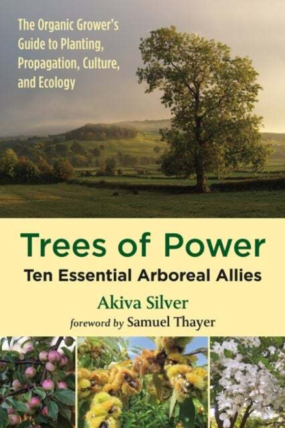 Trees of Power av Akiva Silver