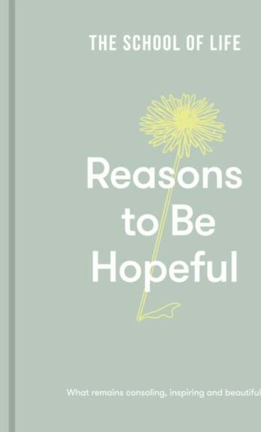 Reasons to be Hopeful av The School of Life