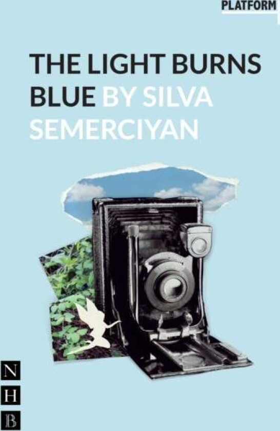 The Light Burns Blue av Silva Semerciyan