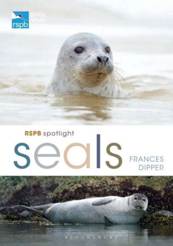 RSPB Spotlight Seals av Dr Frances Dipper