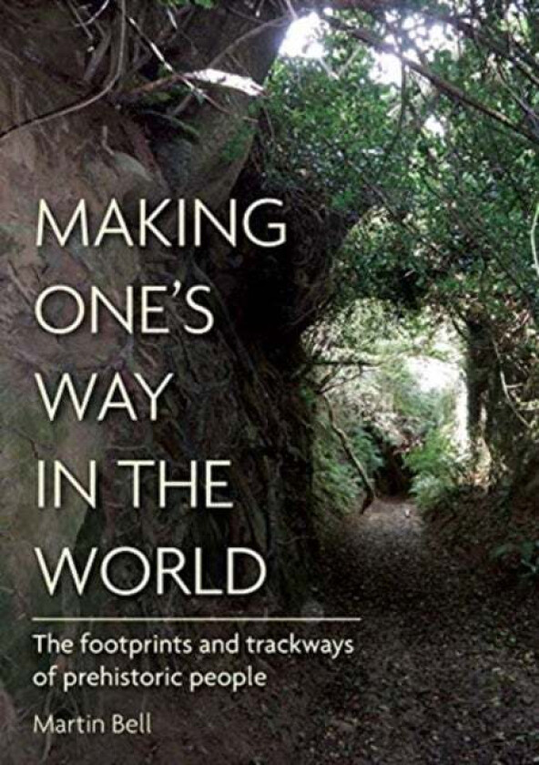 Making One's Way in the World av Martin Bell