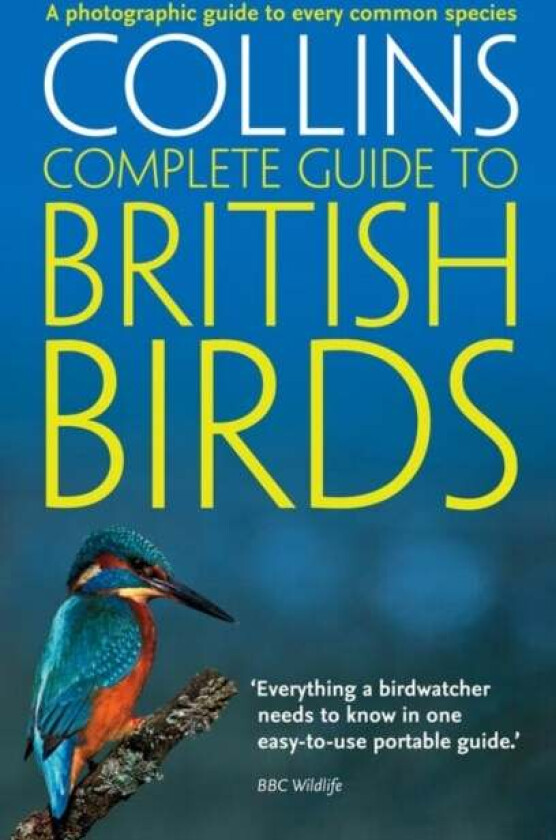 British Birds av Paul Sterry
