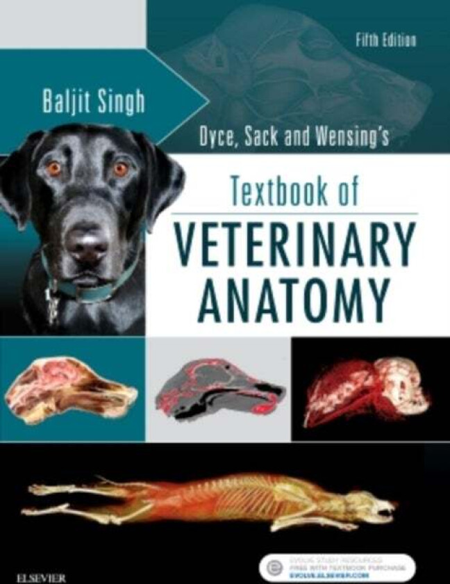 Dyce, Sack, and Wensing's Textbook of Veterinary Anatomy av Baljit (Dean and Professor Faculty of Veterinary Medicine at University of Calgary) S