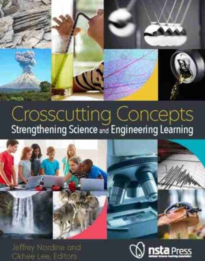Crosscutting Concepts