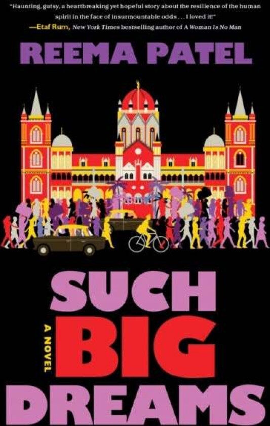Such Big Dreams av Reema Patel