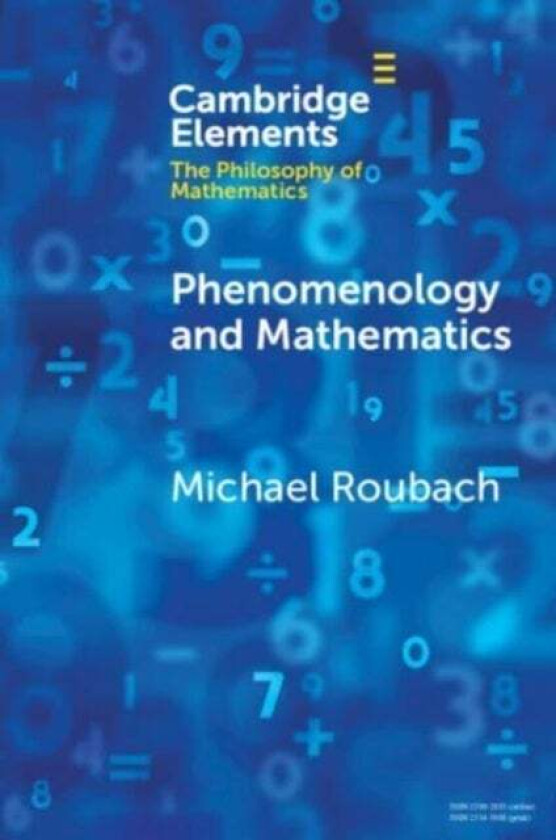 Phenomenology and Mathematics av Michael (Hebrew University of Jerusalem) Roubach