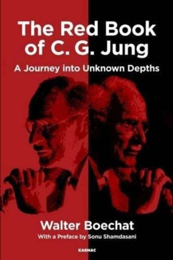The Red Book of C.G. Jung av Walter Boechat