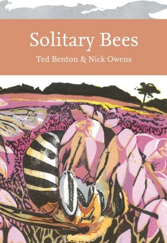 Solitary Bees av Ted Benton, Nick Owens