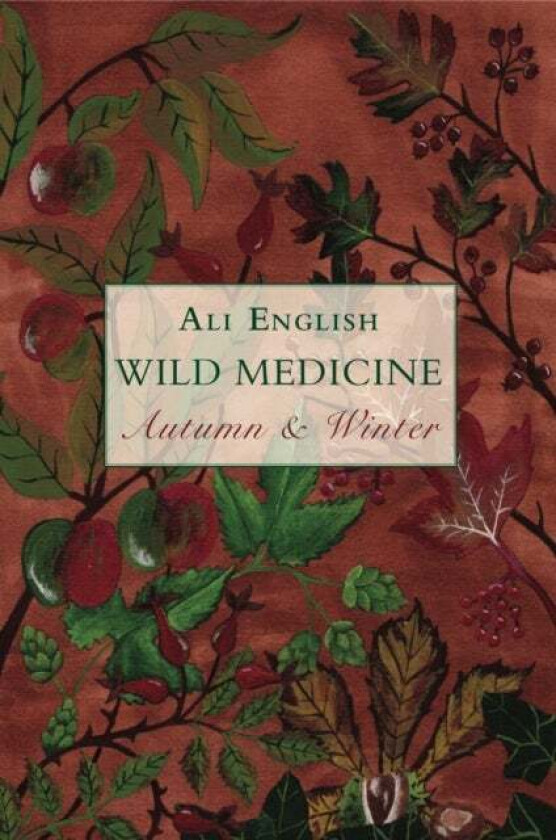 Wild Medicine, Autumn and Winter av Ali English