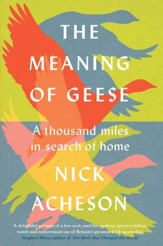 The Meaning of Geese av Nick Acheson