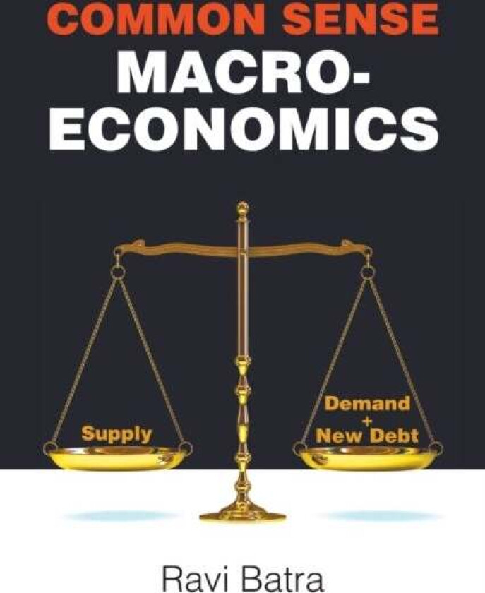 Common Sense Macroeconomics av Ravi Batra