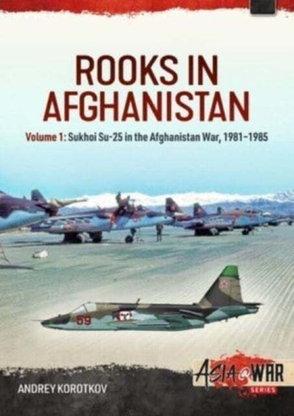 Rooks in Afghanistan av Andrey Korotkov