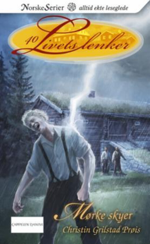Mørke skyer av Christin Grilstad Prøis