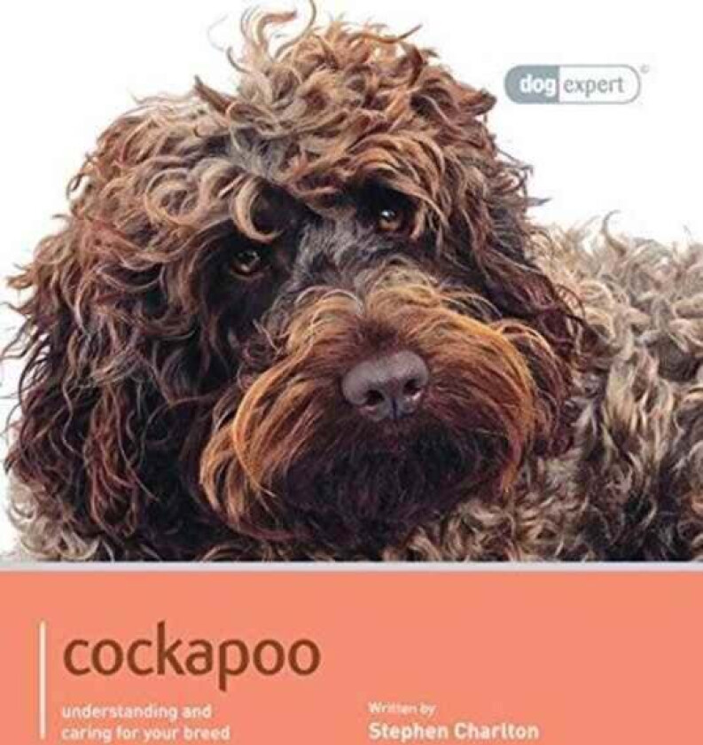 Cockapoo - Dog Expert