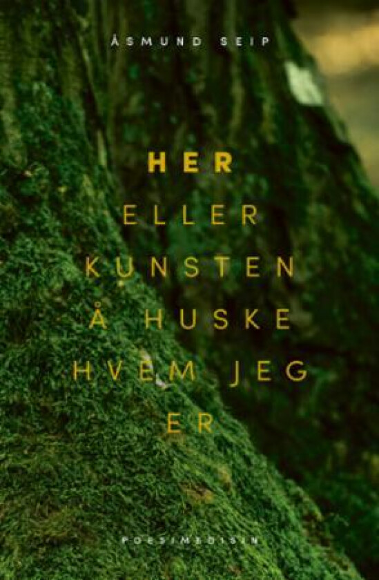 Her, eller Kunsten å huske hvem jeg er av Åsmund Seip