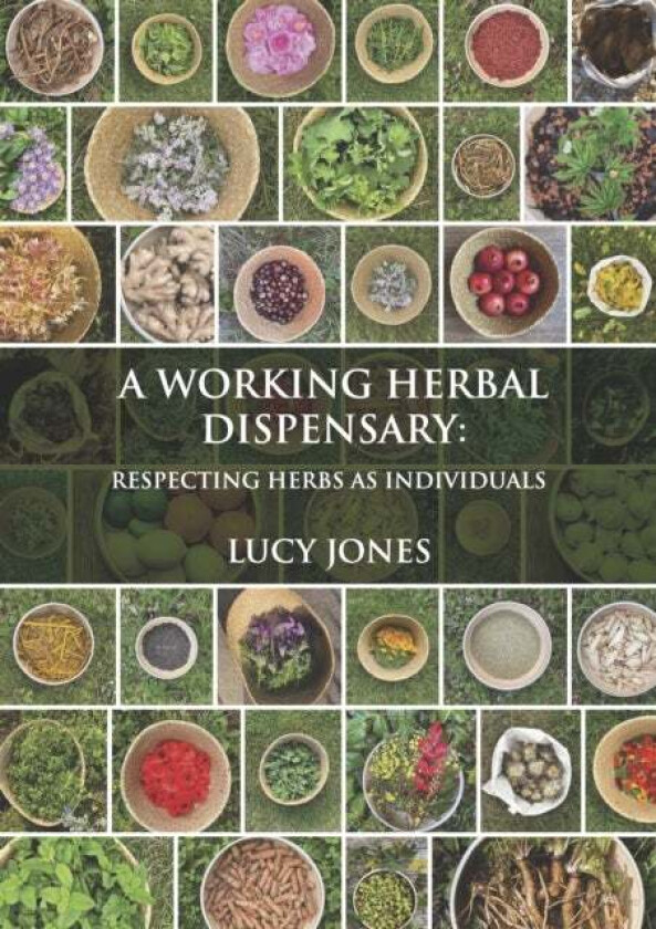 A Working Herbal Dispensary av Lucy Jones