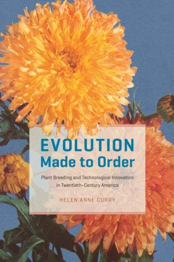 Evolution Made to Order av Helen Anne Curry