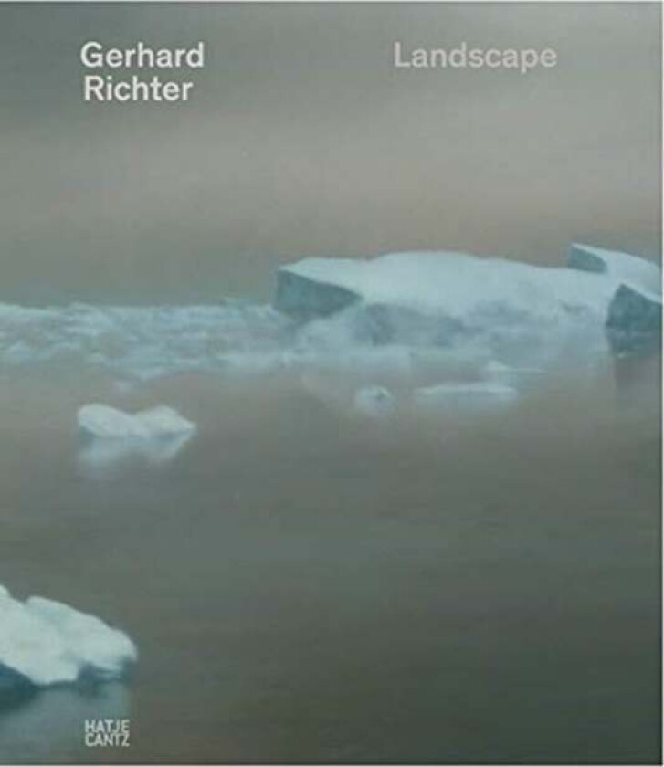 Gerhard Richter av Hubertus Butin, Catherine Hug, Ann Cotten, T. J. Demos, Matias Faldbakken