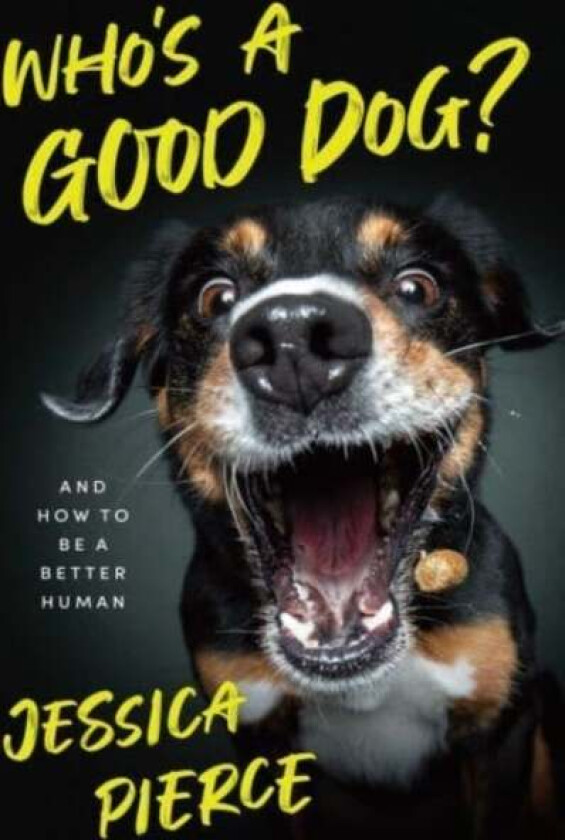 Who's a Good Dog? av Jessica Pierce