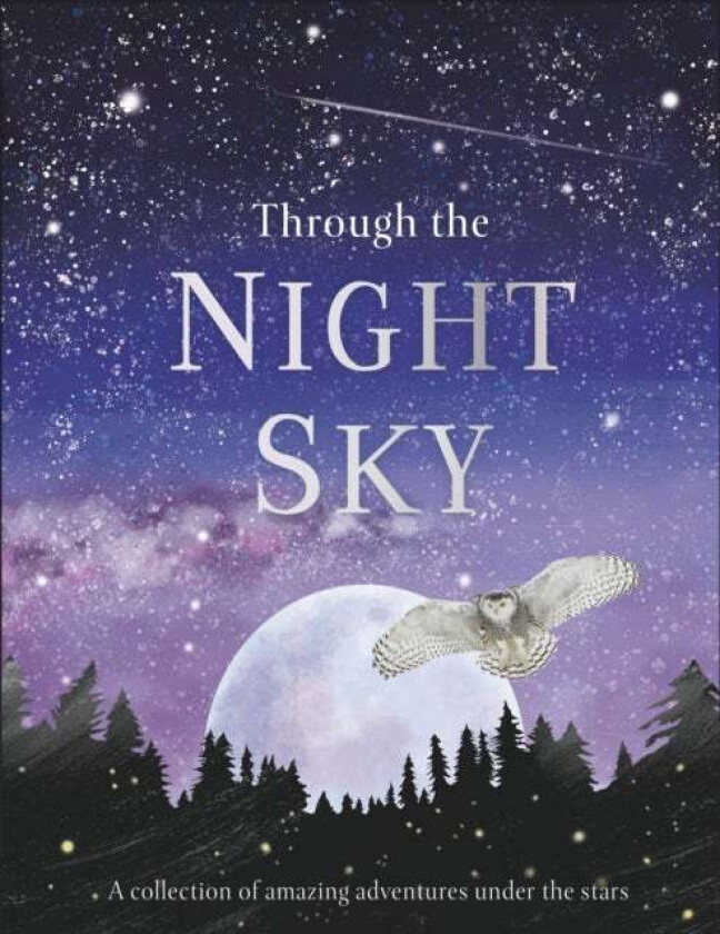 Through the Night Sky av DK
