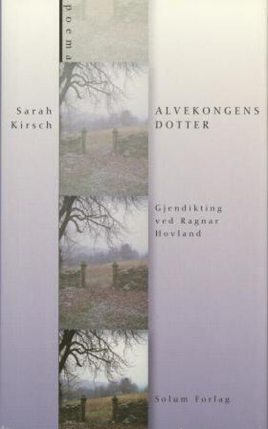 Alvekongens dotter av Sarah Kirsch