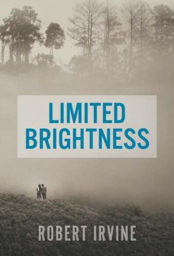 Limited Brightness Av Robert Irvine