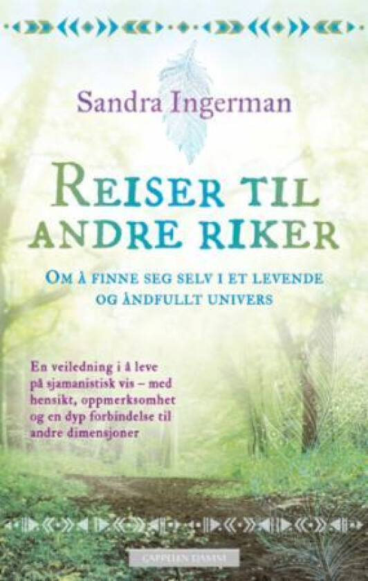 Reiser til andre riker av Sandra Ingerman