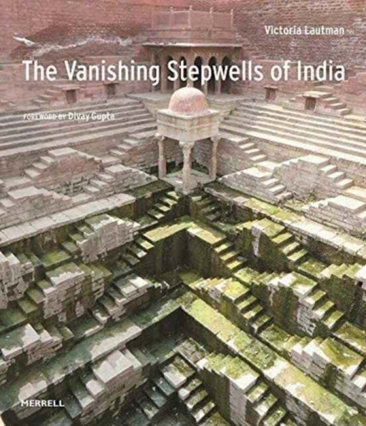 Vanishing Stepwells of India av Victoria Lautmann