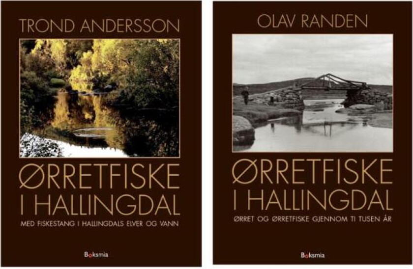 Ørretfiske i Hallingdal av Trond Andersson, Olav Randen