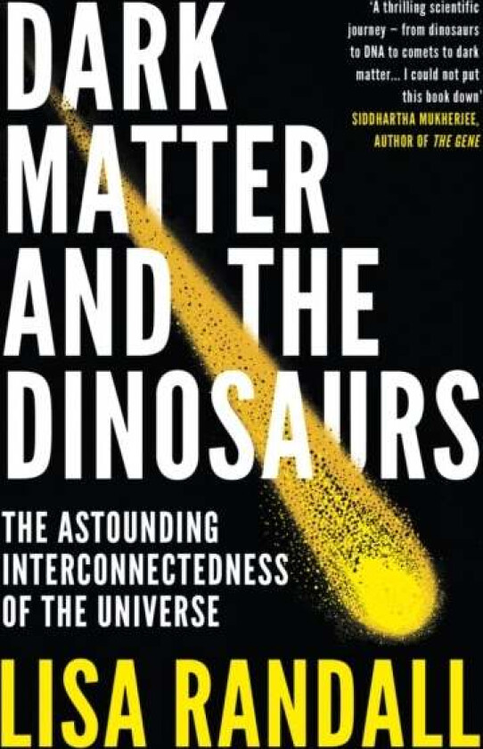 Dark Matter and the Dinosaurs av Lisa Randall